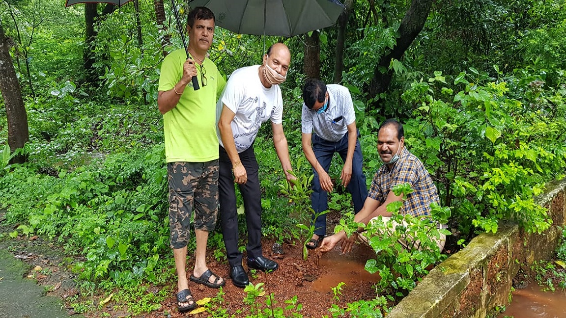 Tree plantation at Madkai